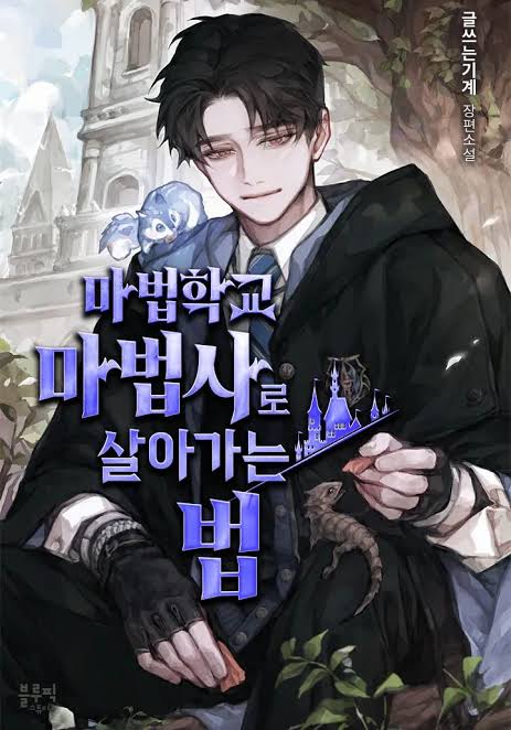 Becoming A Magic School Mage