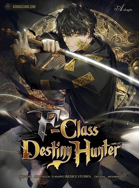 F Class Destiny Hunter