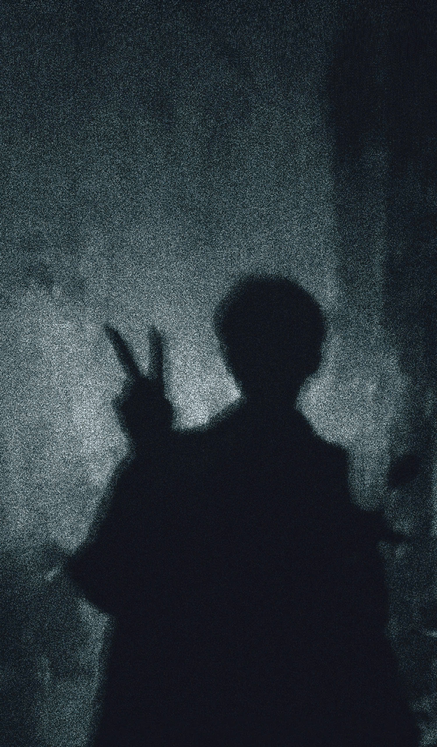 Gallery visual snap